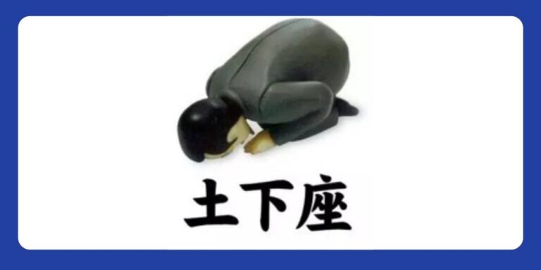 Dogeza - Đông Du Hà Nội