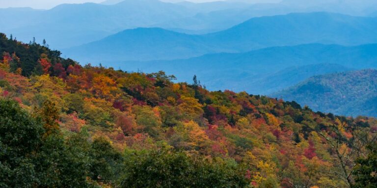 Ngắm lá đỏ ở Nhật Bản