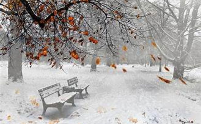 17 - Đông Du Hà Nội