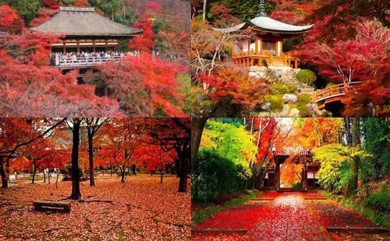 mùa lá đỏ Nhật Bản