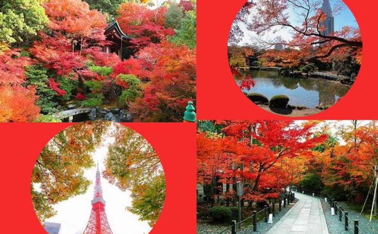 mùa lá đỏ Nhật Bản