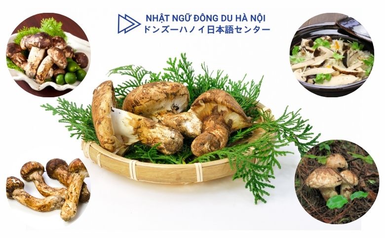 73 - Đông Du Hà Nội