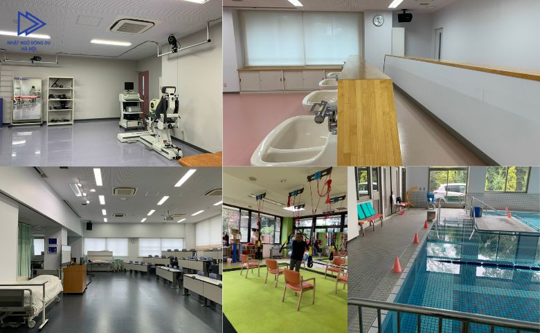 điều dưỡng Nhật Bản liệu có thực sự tốt