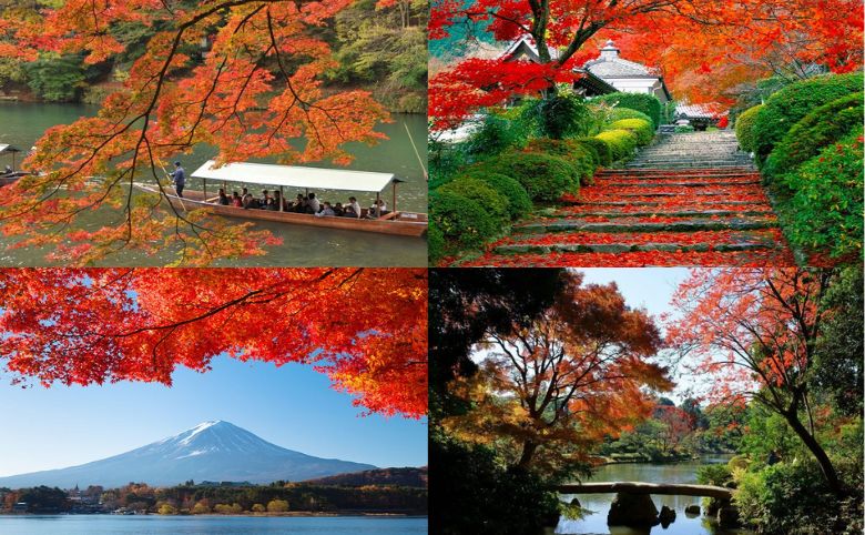 khoảnh khắc giao mùa thu đông ở nhật